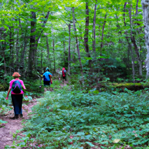 A group of hikers trekking through a lush forest trail.